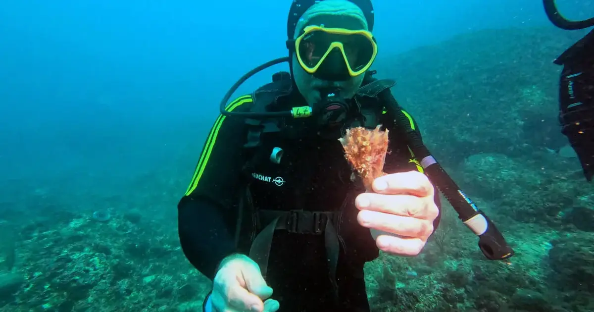Marsilya’da deniz koruma alanı örnek oldu