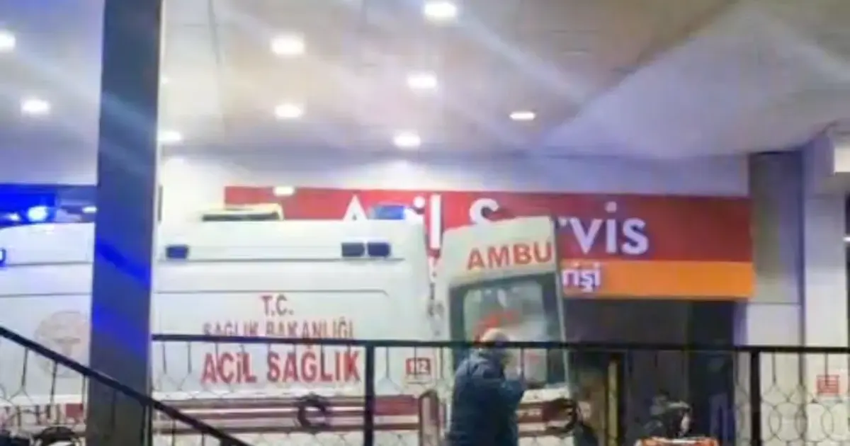 Ormanda kaza kurşunuyla vuruldu