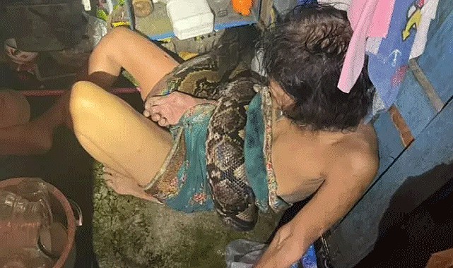 Mutfakta Piton Saldırısına Uğradı!