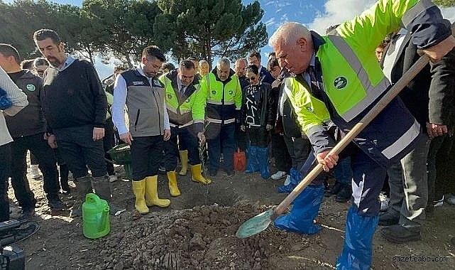 BBB tarafından Zeytin Fidanı Dikim Etkinliği Gerçekleşti