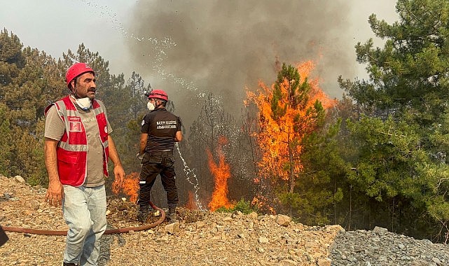 Harmancık'ta Ciğerlerimiz Yanmaya Devam Ediyor