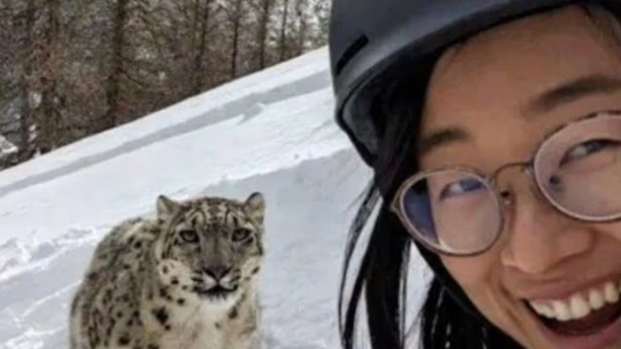 Leoparla selfie çekmek istedi, ölümden son anda kurtuldu
